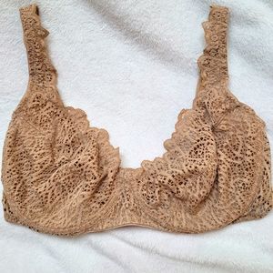 Else Lace Bra 36DD